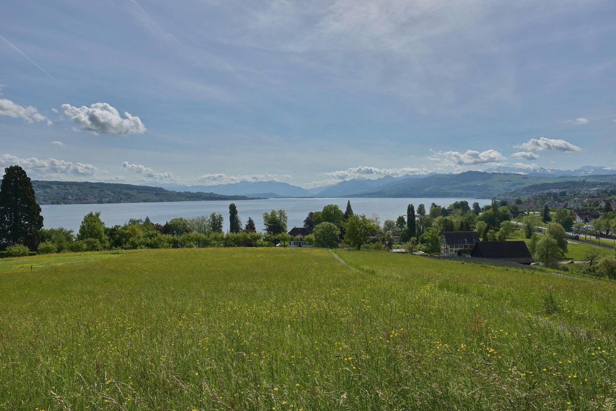 Landgasthof Halbinsel Au Веденсвиль Экстерьер фото